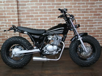 �����ɥӥ塼