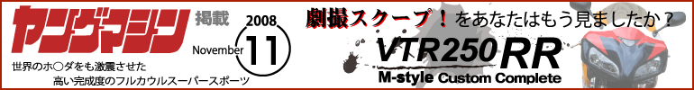 ��󥰥ޥ���Ǻܡ�VTR250RR