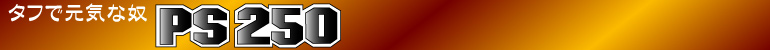 PS250
